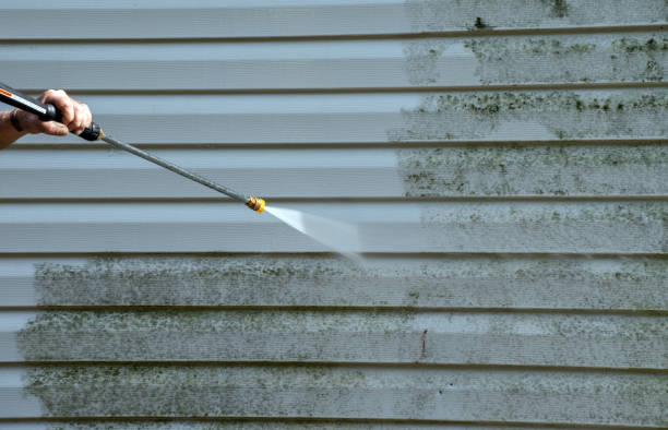 Best Roof Power Washing Services  in Fort Lee, VA