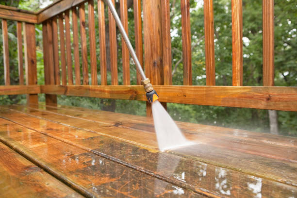 Best Best Pressure Washing Companies  in Fort Lee, VA